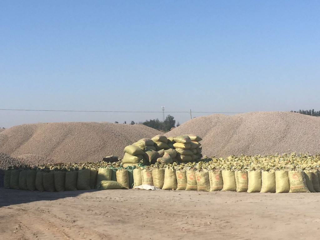 1600931218154476.jpg 2.jpg