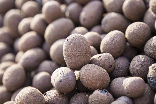 1603692674181339.jpg u=4200141512,3799402264&fm=26&gp=0.jpg