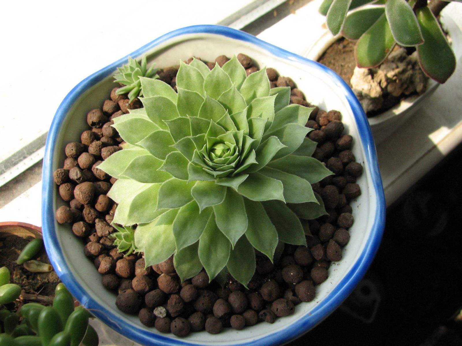 1603693121195452.jpg 1603693121195452.jpg